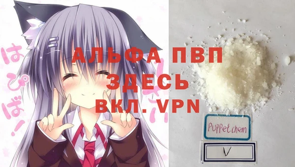 mdpv Богородицк